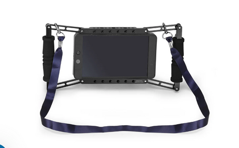 Proaim Director's Cage for 4”-7”  | With V-Mount Plate